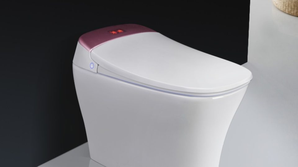 toilet2